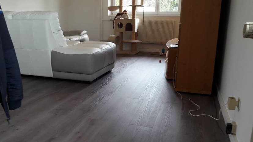 Projet de peinture réalisé